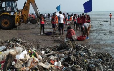 Fighting for clean beaches in Mumbai—DW