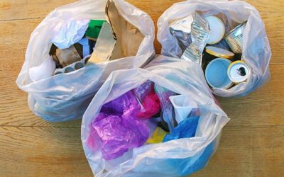 Is Recycling All Our Waste at Home Possible?â€”BBC Crowd Science